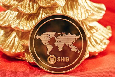 Shiba Inu Coin